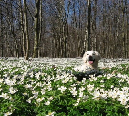 ����� ������ �������� (13 ����)