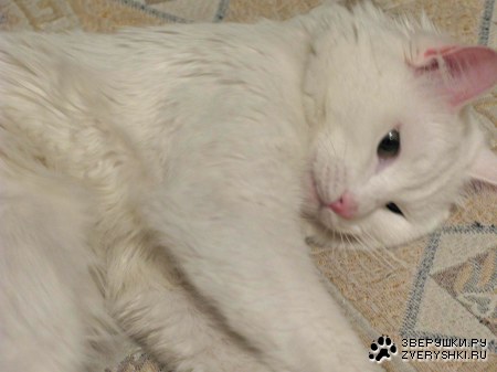 ����� - ������� ��� :)