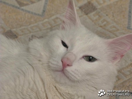 ����� - ������� ��� :)