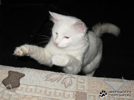 ����� - ������� ��� :)