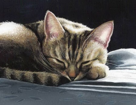 ���������� ���� �� ��������� Celia Pike