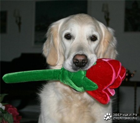 ������ ��� ��������! :)