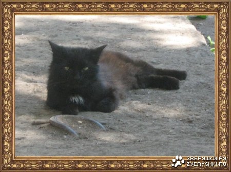 ���������� ����� :)