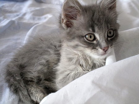 ����� ��� :)