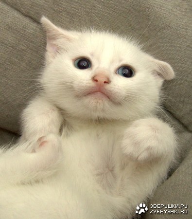 �� ����� ����, �� �� � ���� �������! :)