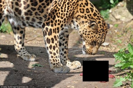 ������ �������! :)