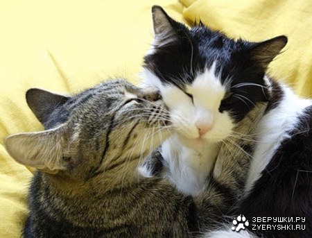 ��� ����� ��� ������... :)