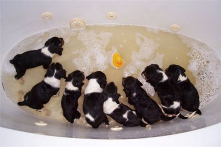 ����� �� ������ ;)