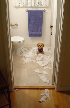 ��������� ������� :)