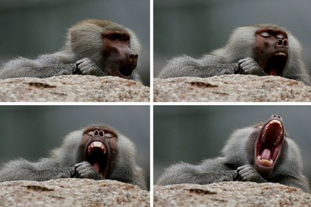 ����� ����� ;)