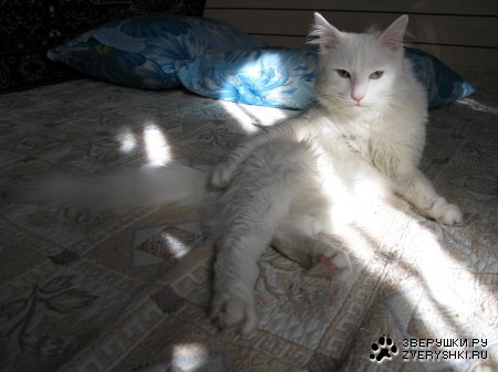 �������� ����� - ����� :)