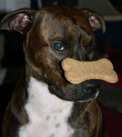 ���������� �������� (17 ����)