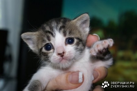 ������� ;)