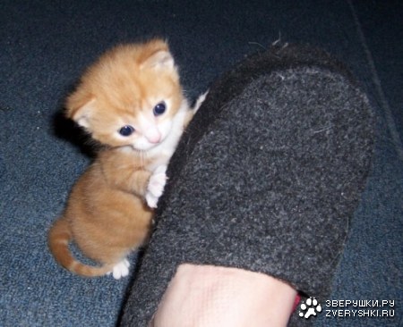 ������� ����� ��� ���������� ������ :)