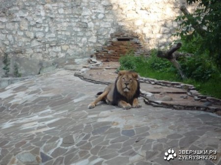 �������� �� ����������� �������� (11 ����)