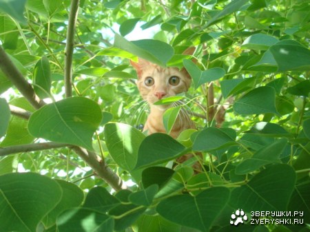 � �� ���� ����� ;)