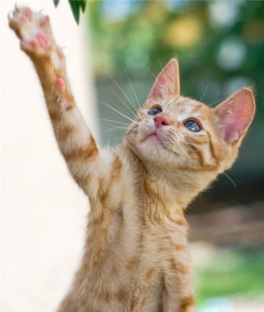 �����-����� ������ �������� (20 ����)