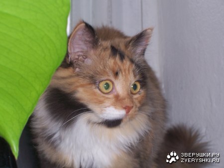 ������������ :)