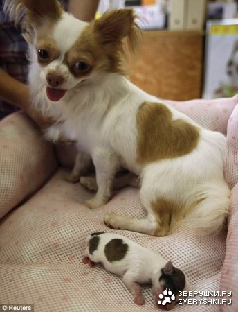 ������������� ����� ;)