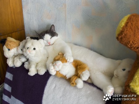 ��� �� ��� ������� :)