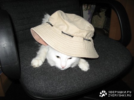 ����� �������� :)