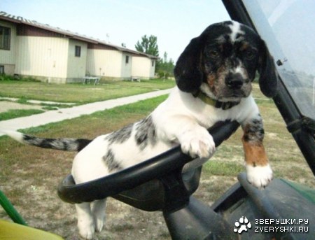 �������������� ������ ;)