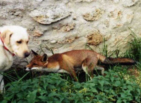 �������� ������� :)