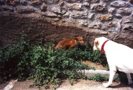 �������� ������� :)