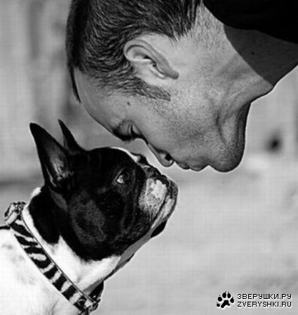 ������ ����� (15 ����)