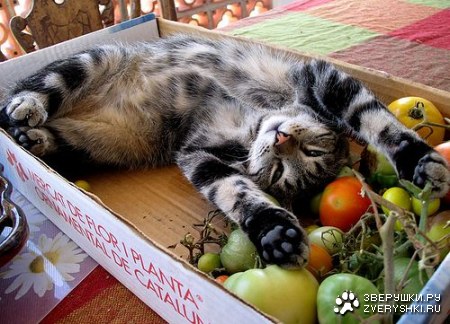 ������� ��� ��������! :)