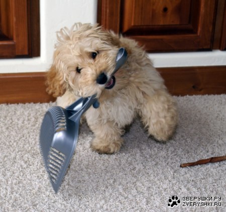 ������������ :)