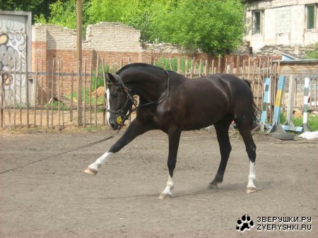 �� ��� ������, ��� ������ :)