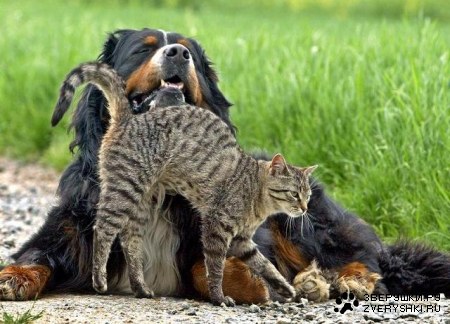 �������� ;)