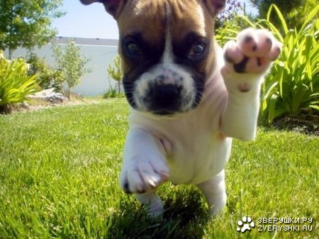 � � ���� ���� ������ :)