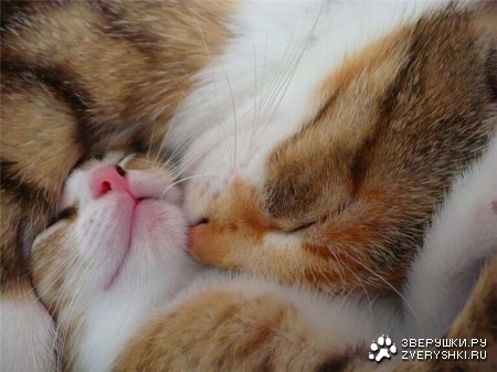 �������� ������ :)