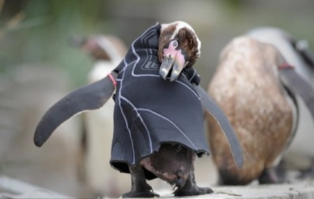 ������� � ������������ (5 ����)