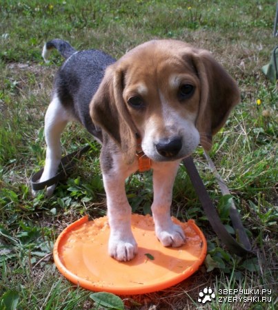 ��������? ;)