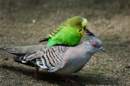 �� ����� � ����������� :)