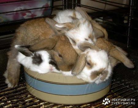 �������� ����� :)