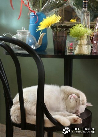 ��������... :)