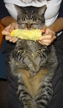 ��� ��� ����������! ;)