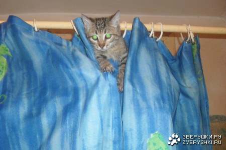 ��������� :)