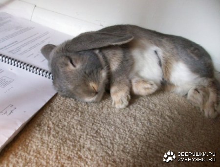 �����������... :)