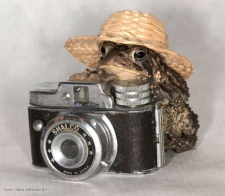 ��������-��������� (18 ����)