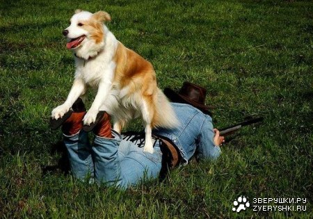 ������ �������� (16 ����)