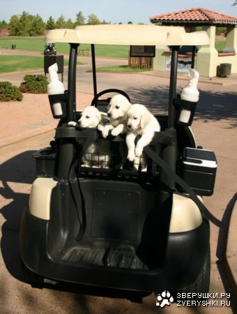 ��������������� :)