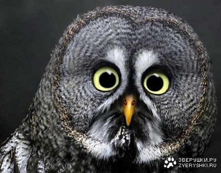 ������������ ������ ;)