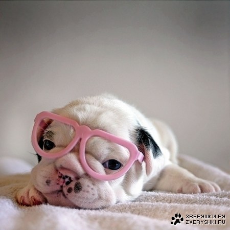 ��� ����? :)