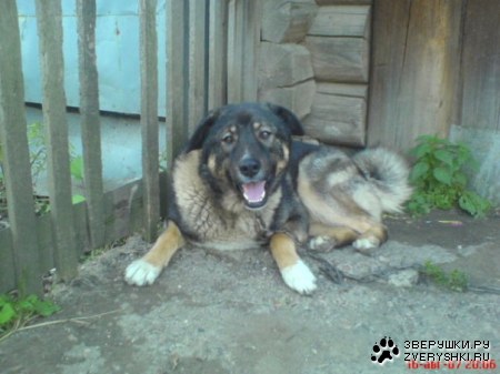 ������� :)