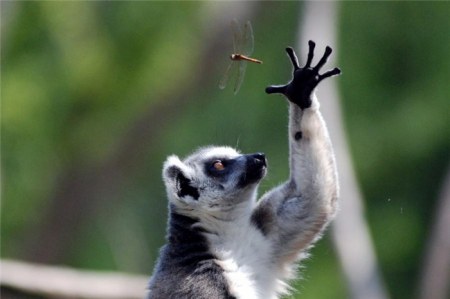 � ��� ����� ���� ������ :)